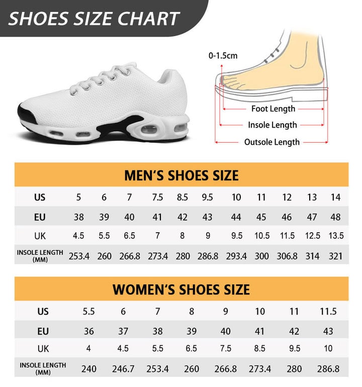 Indian Motorcycle DDQSGA10051