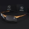 BMW Elegant Fashion Unisex Polarized Glasses VS69